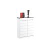 Inara 2 Door Shoe Cabinet