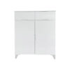 Zara 2 Door Shoe Cabinet